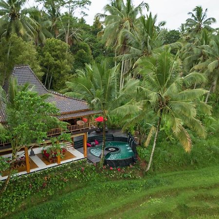 Masakali Retreat Hotell Ubud Exteriör bild