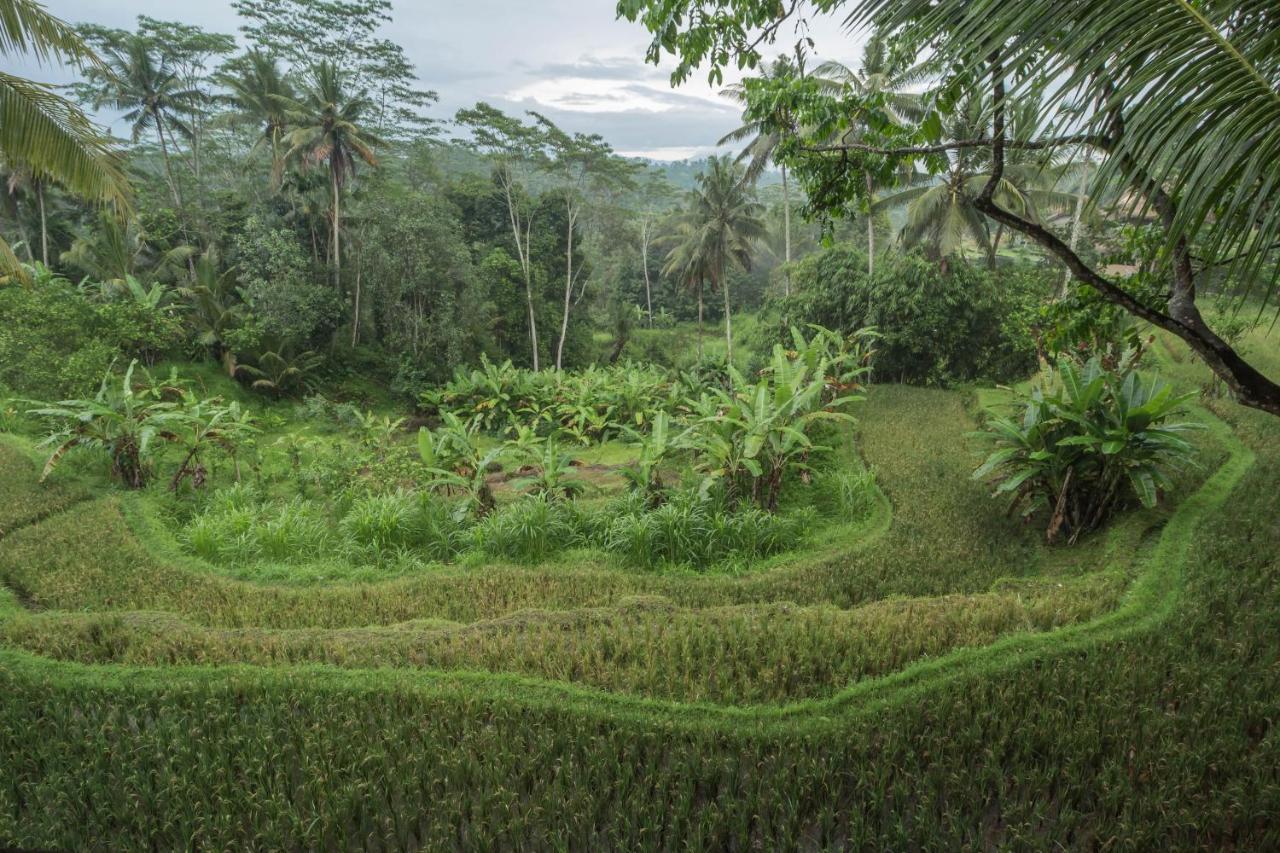 Masakali Retreat Hotell Ubud Exteriör bild
